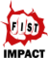Fist Impact