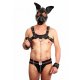 Puppy play