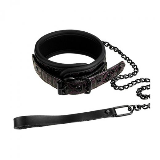 Obojek s vod�tkem Dream Toys BLAZE COLLAR AND LEASH fialov�