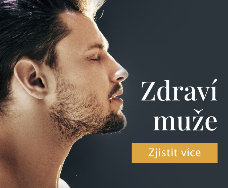 Zdraví muže